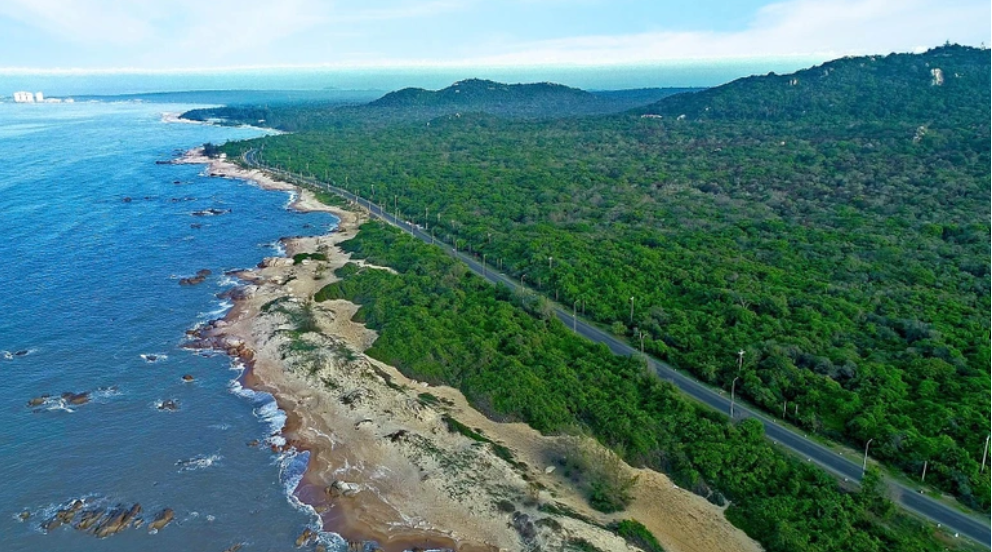 Hồ Tràm được trời phú cho hệ sinh thái và thiên nhiên phong phú